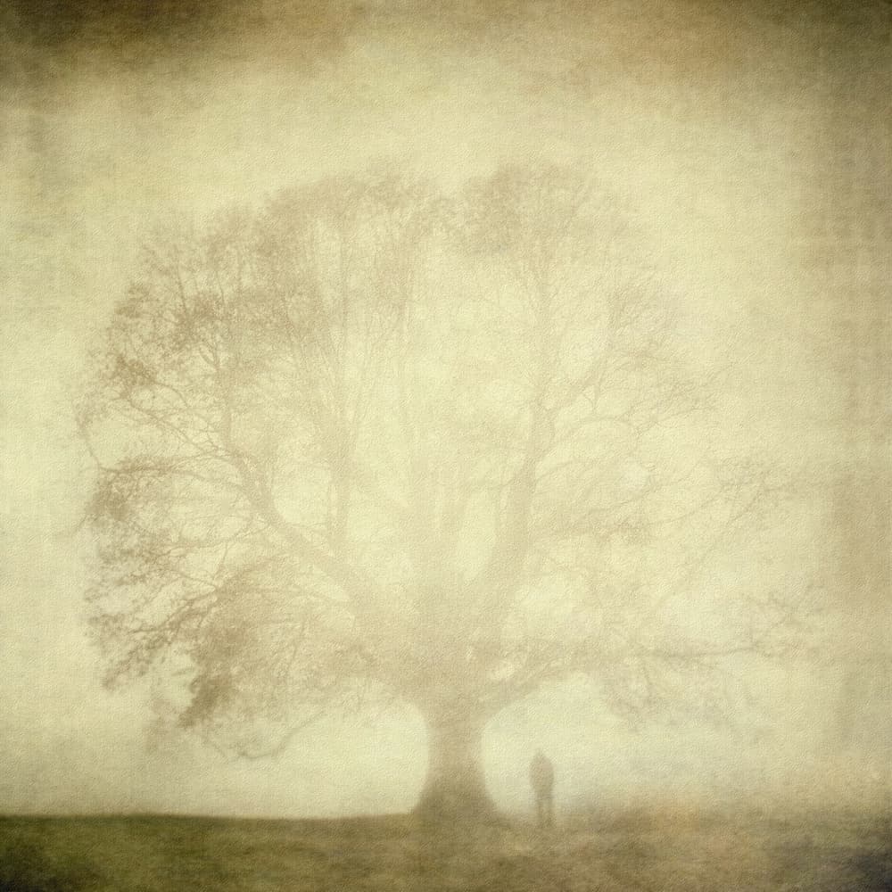 Misty Tree and Figure by  Topic — canvas wall art