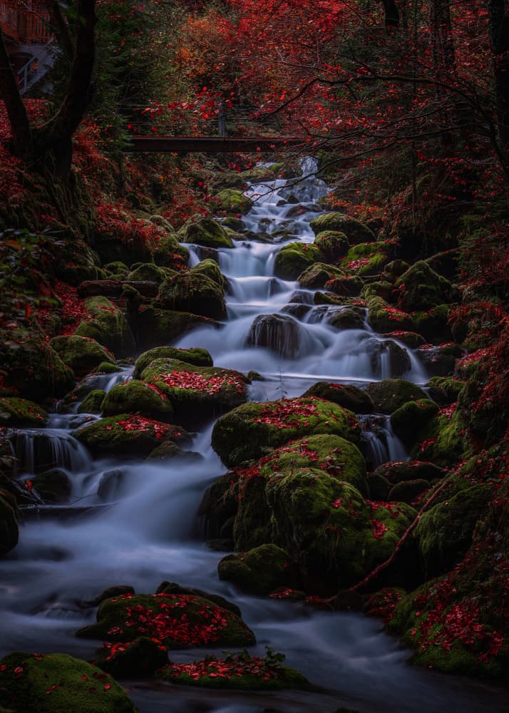 Vibrant Autumn Cascade by Hanping Xiao — canvas wall art