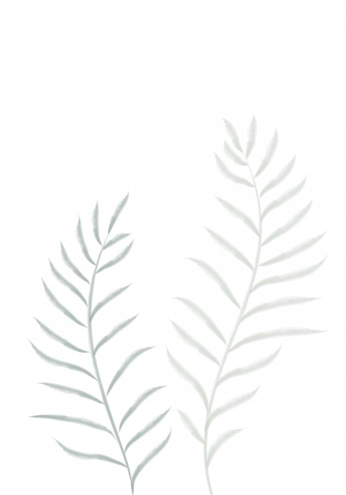 Minimal Botanical Leaves by Pictufy Studio II — canvas wall art