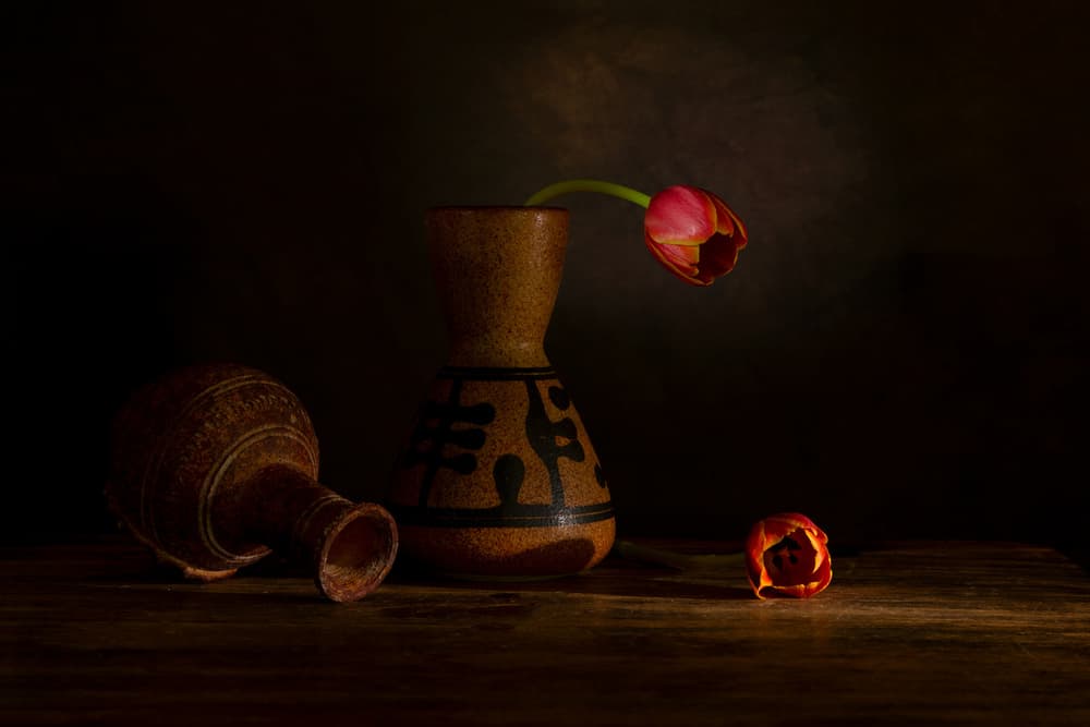 Moody Tulip Still Life by Wendy Xu — canvas wall art