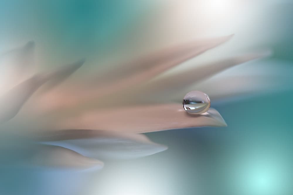 Delicate Water Droplet by Juliana Nan — canvas wall art