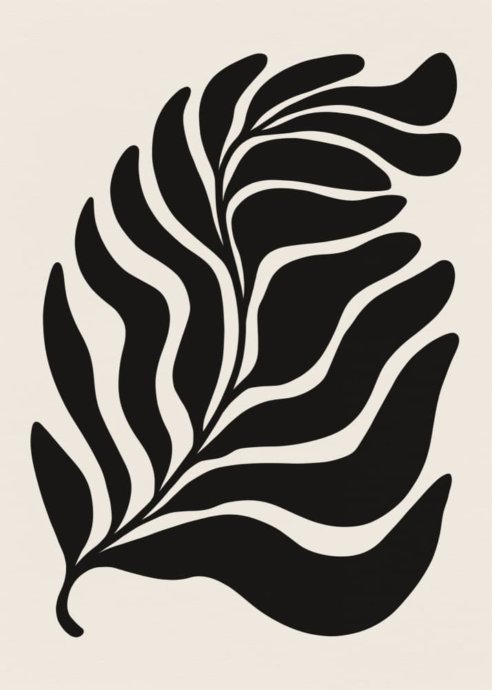 Abstract Black Leaf by Tara Royle — canvas wall art