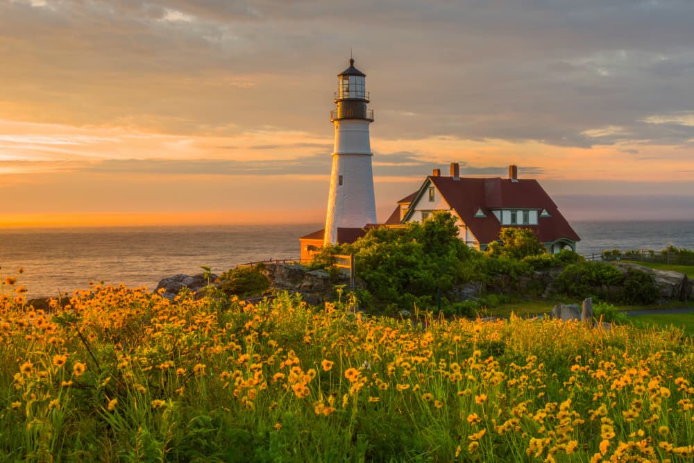 Lighthouse Golden Hour Field by Jay Zhu — canvas wall art