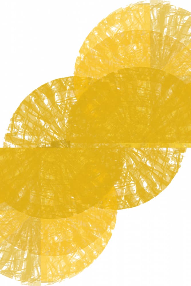 Golden Abstract Fans by casa cartissi — canvas wall art