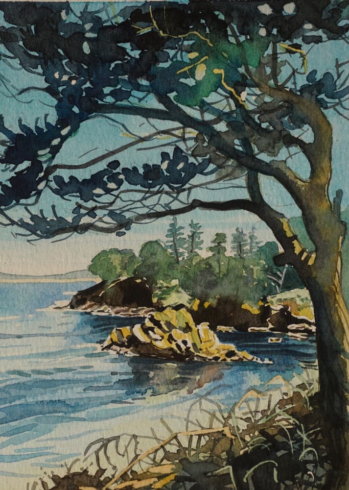 Coastal Pine Vista by Luisa Millicent — canvas wall art
