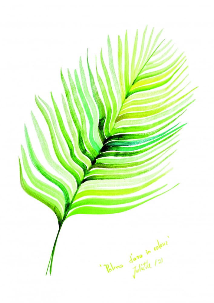 Vibrant Tropical Leaf by Julija Belickienė — canvas wall art