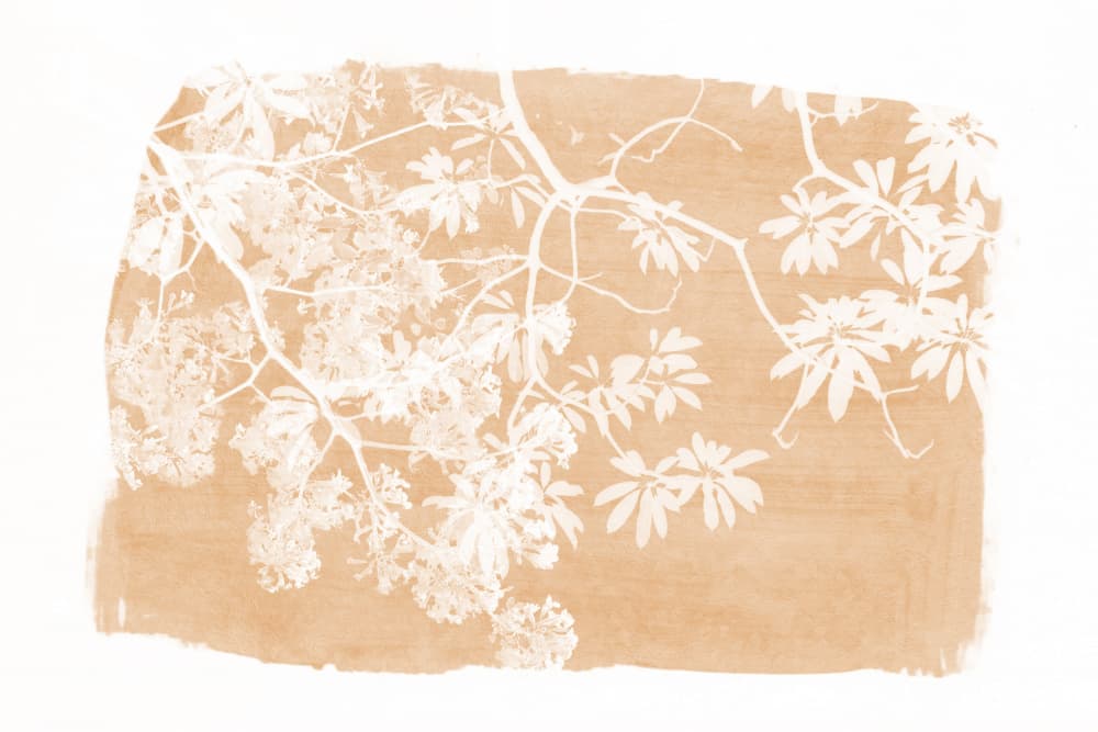 Orange Tree Foliage Silhouette by amini54 — canvas wall art