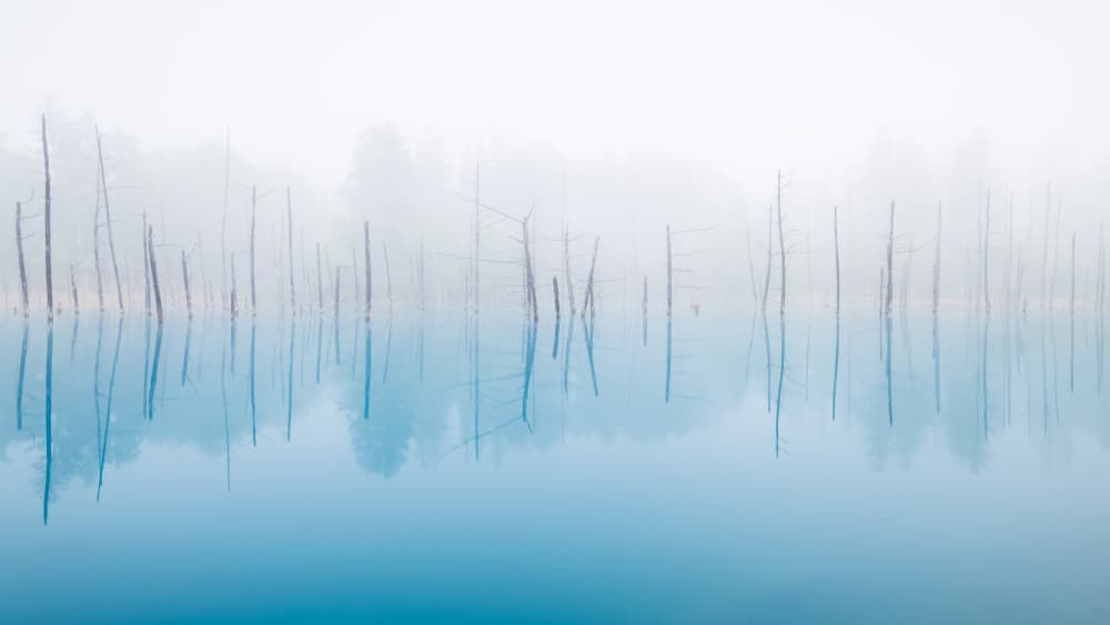 Misty Blue Reflections by Hidenori Sono — canvas wall art