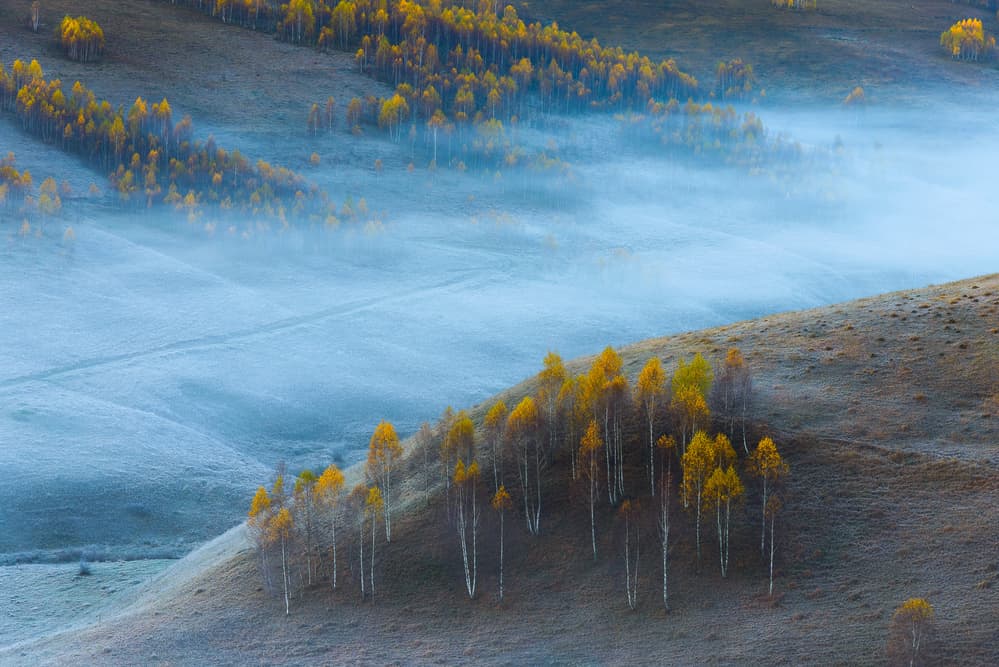 Golden Autumn Mist by Ovidiu Satmari — canvas wall art