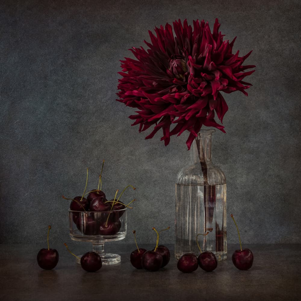 Elegant Dahlia and Cherries by Ytje Veenstra — canvas wall art
