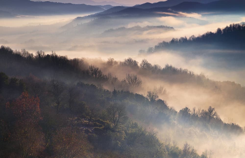 Misty Mountain Serenity