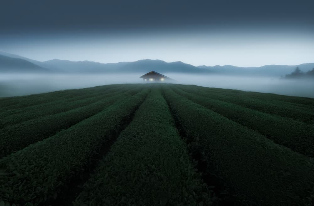 Dreamy Foggy Farmhouse by NingYun Ye — canvas wall art