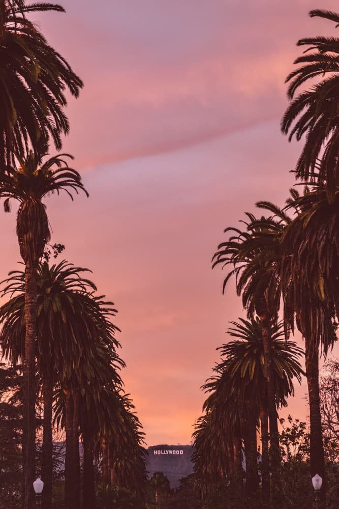 Hollywood Sign Pink Sunset by Bethany Young — canvas wall art
