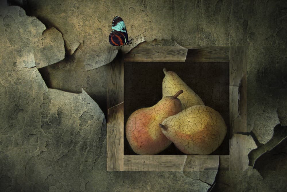 Rustic Pears And Butterfly by Natalia — canvas wall art