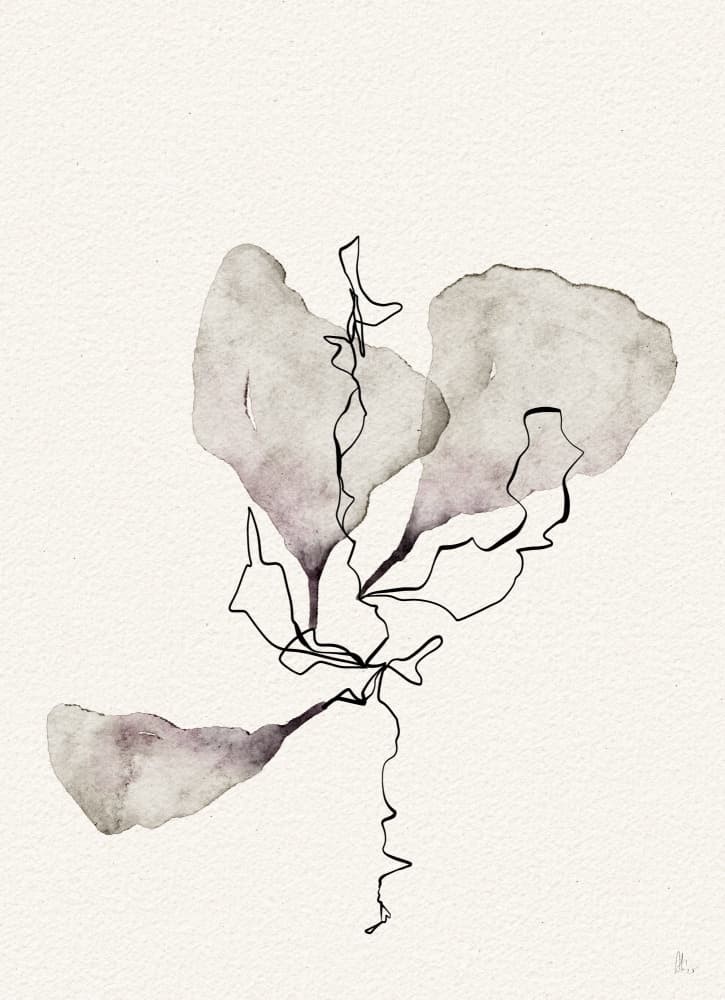 Delicate Botanical Study by Ankie Kooi — canvas wall art