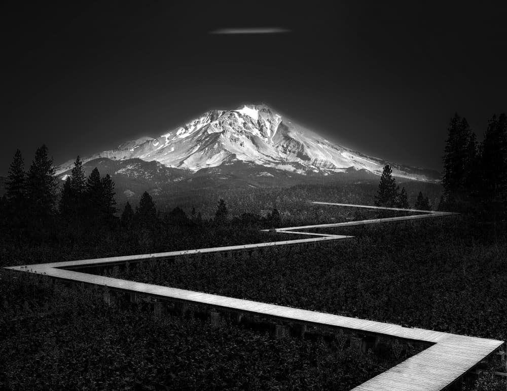 Dark Forest Mountain Path by Jiahong Zeng — canvas wall art