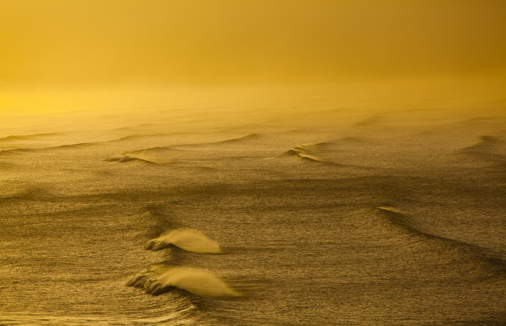 Golden Waves Surface by Anthony Fox — canvas wall art