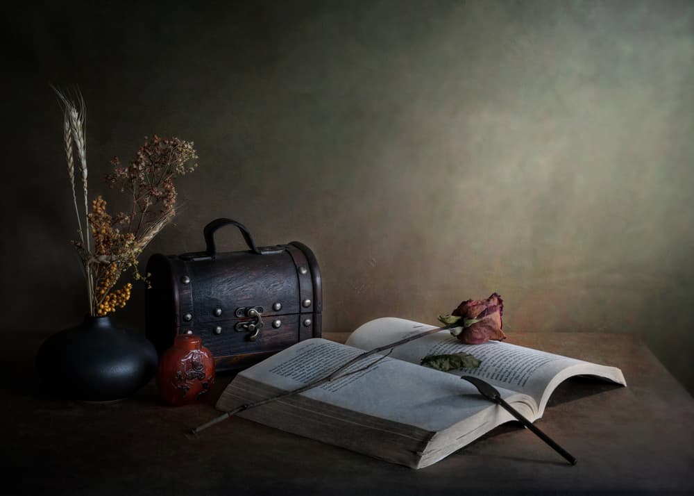 Dried Rose and Book by Jie Fischer — canvas wall art