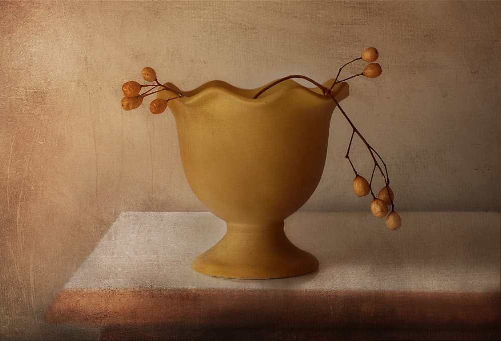 Rustic Berries Still Life by Elena Arjona — canvas wall art