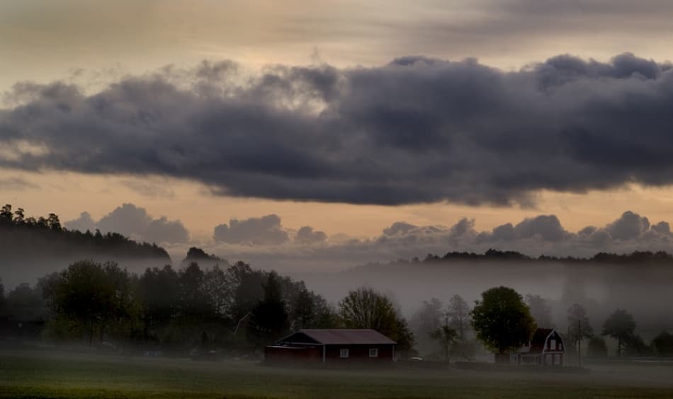 Misty Country Morning by Allan Wallberg — canvas wall art