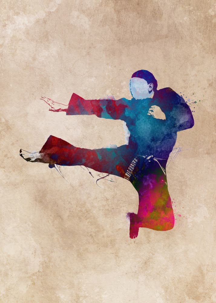 Dynamic Martial Arts Kick by Justyna Jaszke — canvas wall art
