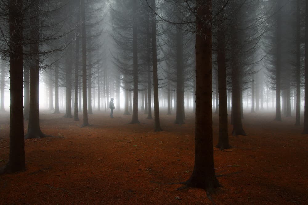Solitary Figure Foggy Forest by Dragisa Petrovic — canvas wall art