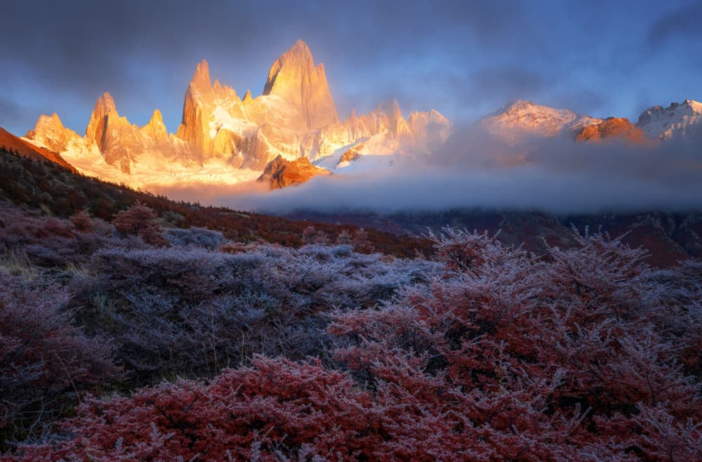 Fitz Roy Golden Sunrise by Lijuan Yuan — canvas wall art