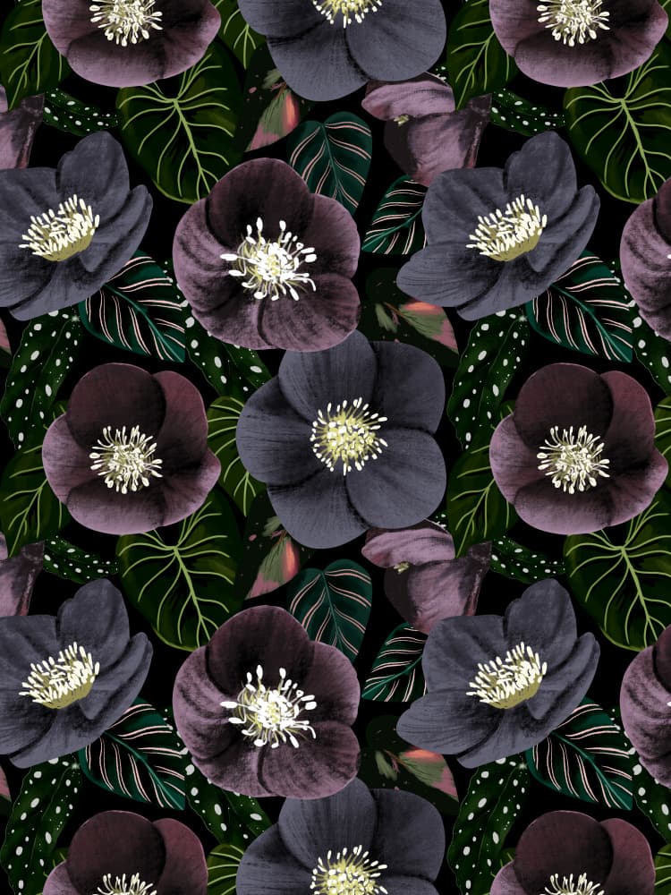 Dark Purple Flowers by Anis Illustration — canvas wall art