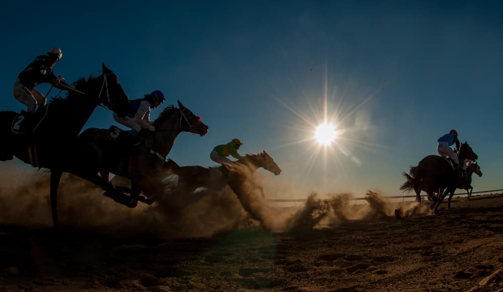 Speeding Race Horses by Sharon Lee Chapman — canvas wall art