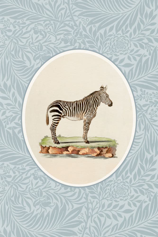 Elegant Zebra Blue Pattern by Wild Violets — canvas wall art
