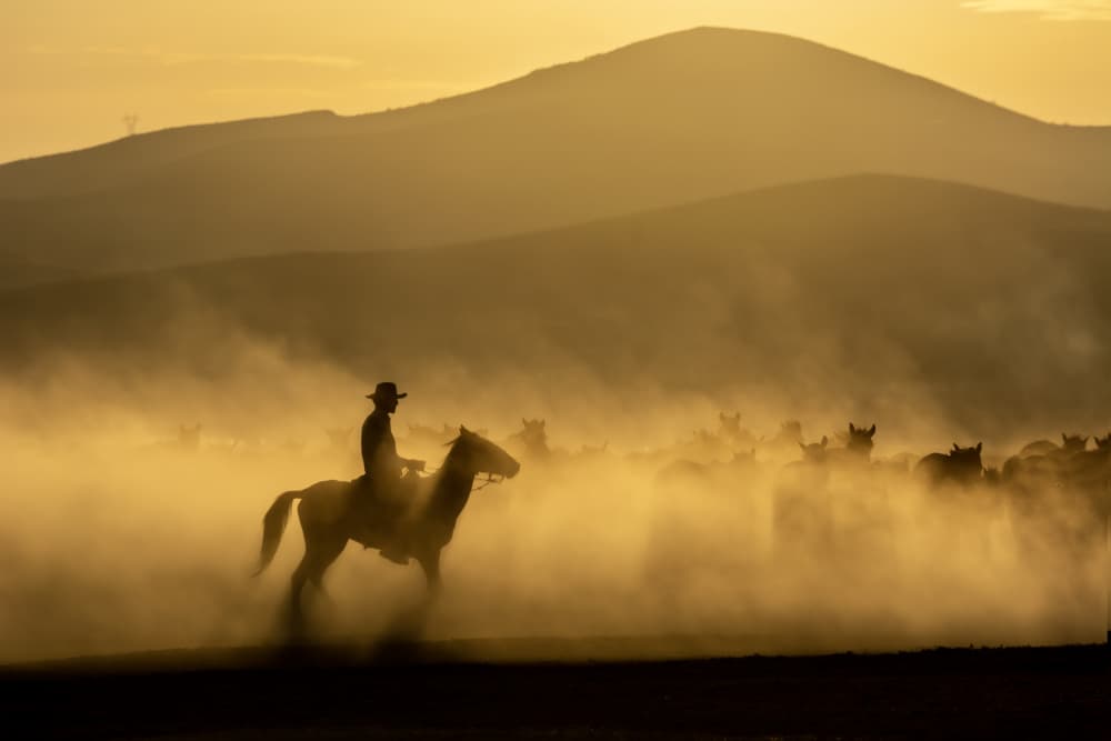 Cowboy Horse Dust Sunset by Ali Can — canvas wall art