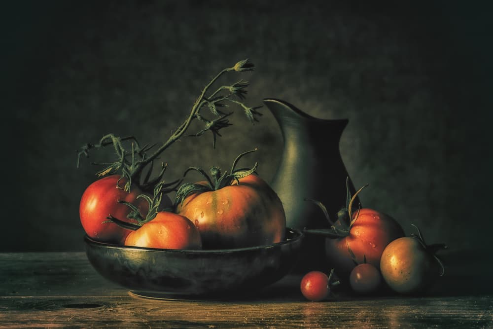 Moody Rustic Tomatoes by Monique van Velzen — canvas wall art