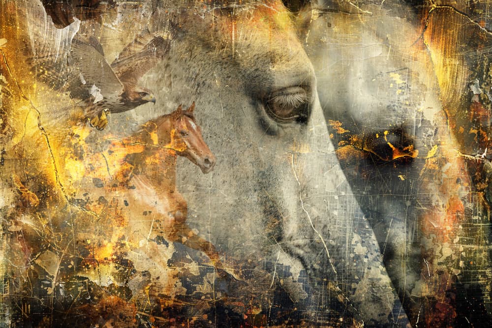 Wild Horse Spirit by Rafal Kulik — canvas wall art