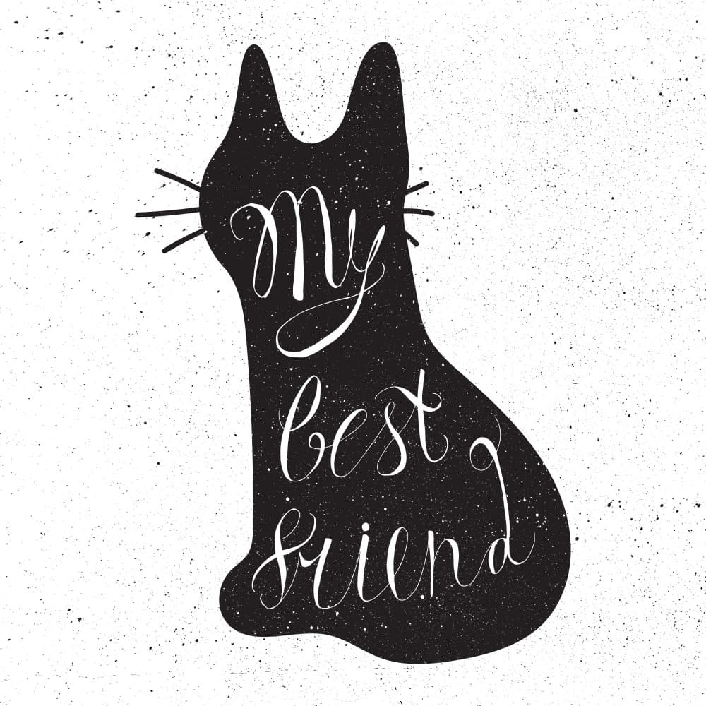 My Best Friend Cat by Marika Barsrsind — canvas wall art