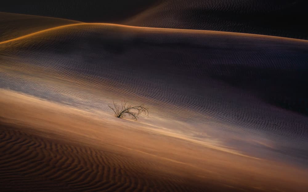 Desert Light And Shadow by Catherine Lu — canvas wall art
