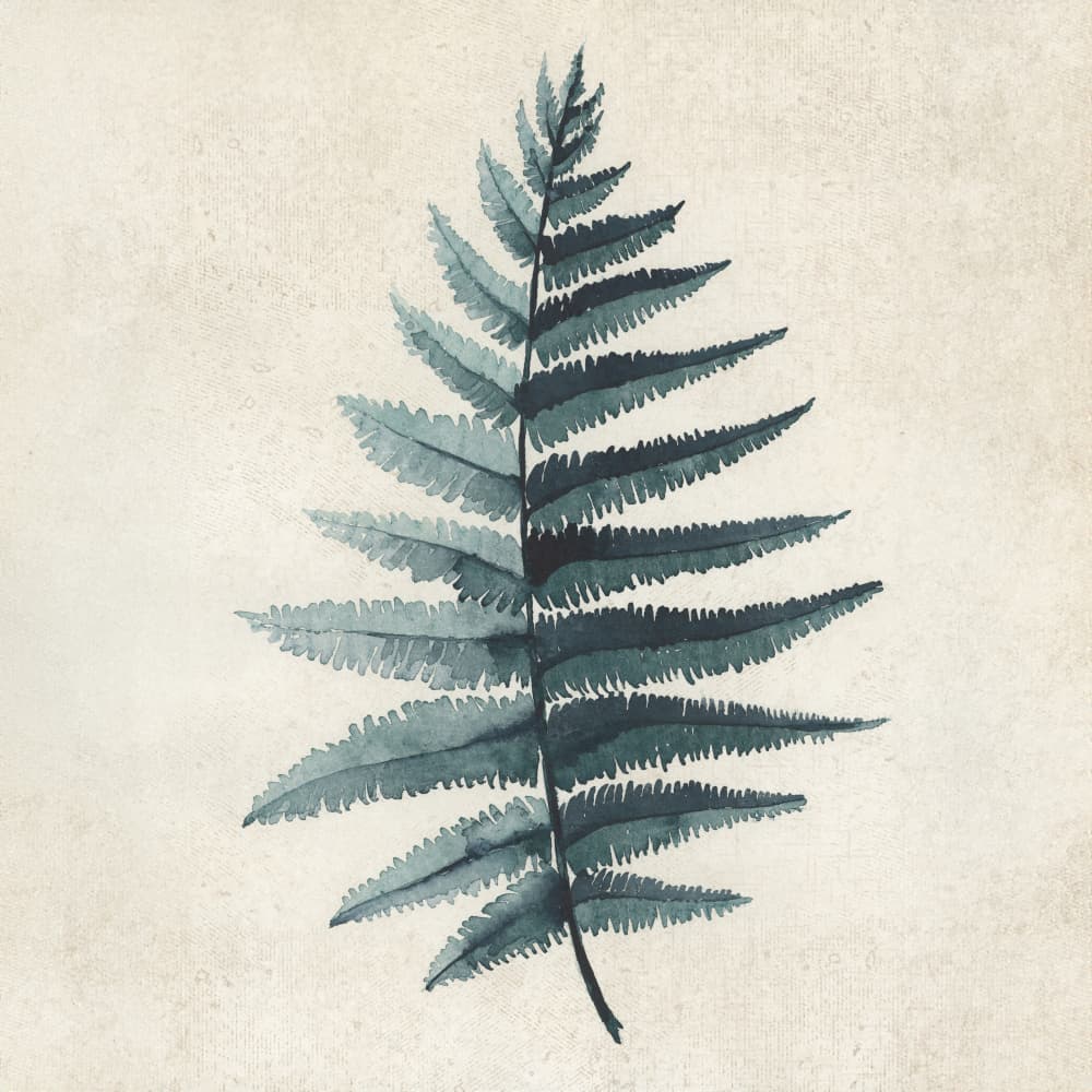 Teal watercolor fern 5 by Rosana Laiz Blursbyai — canvas wall art