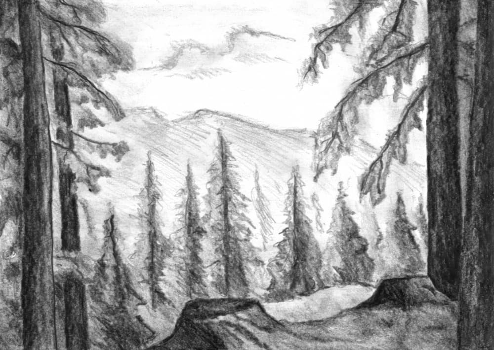 Wild Mountain Forest by Kulik — canvas wall art