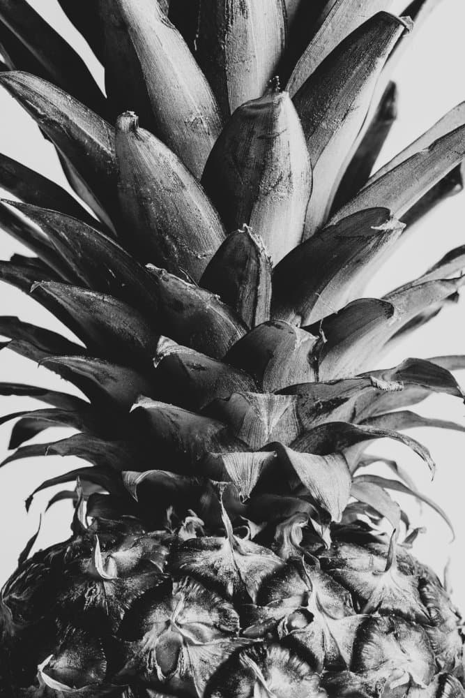 Monochrome Pineapple Detail by Pictufy Studio III — canvas wall art