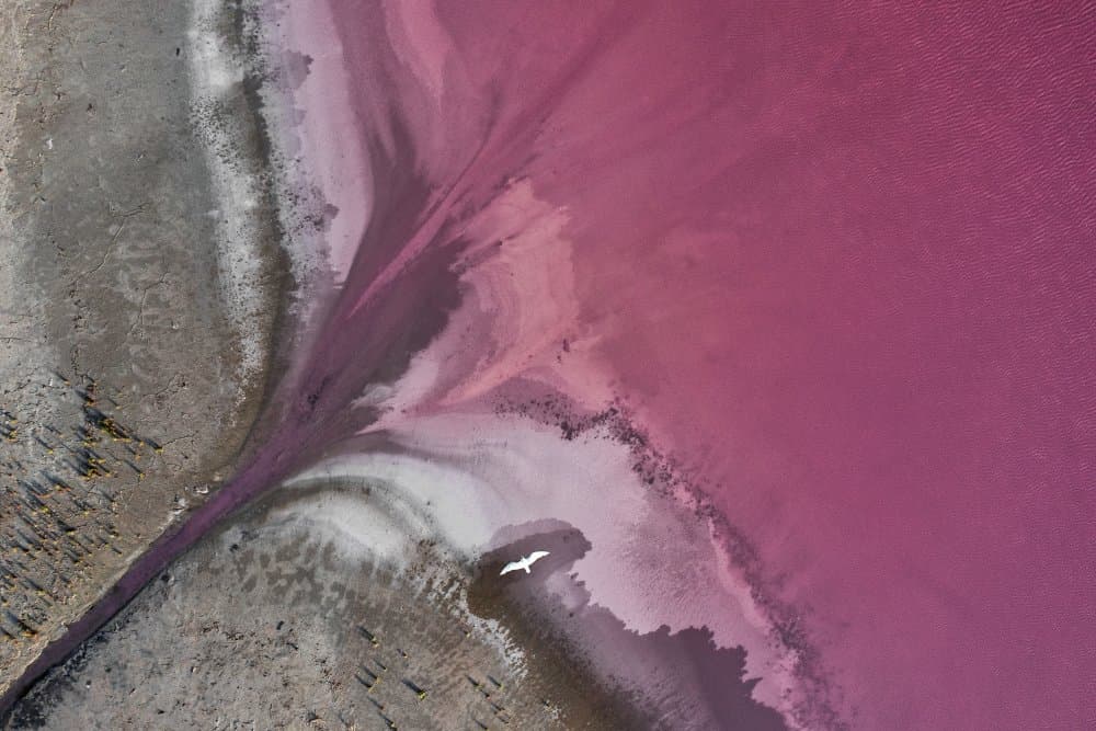Pink Lake Aerial View by Kateryna Polishchuk — canvas wall art