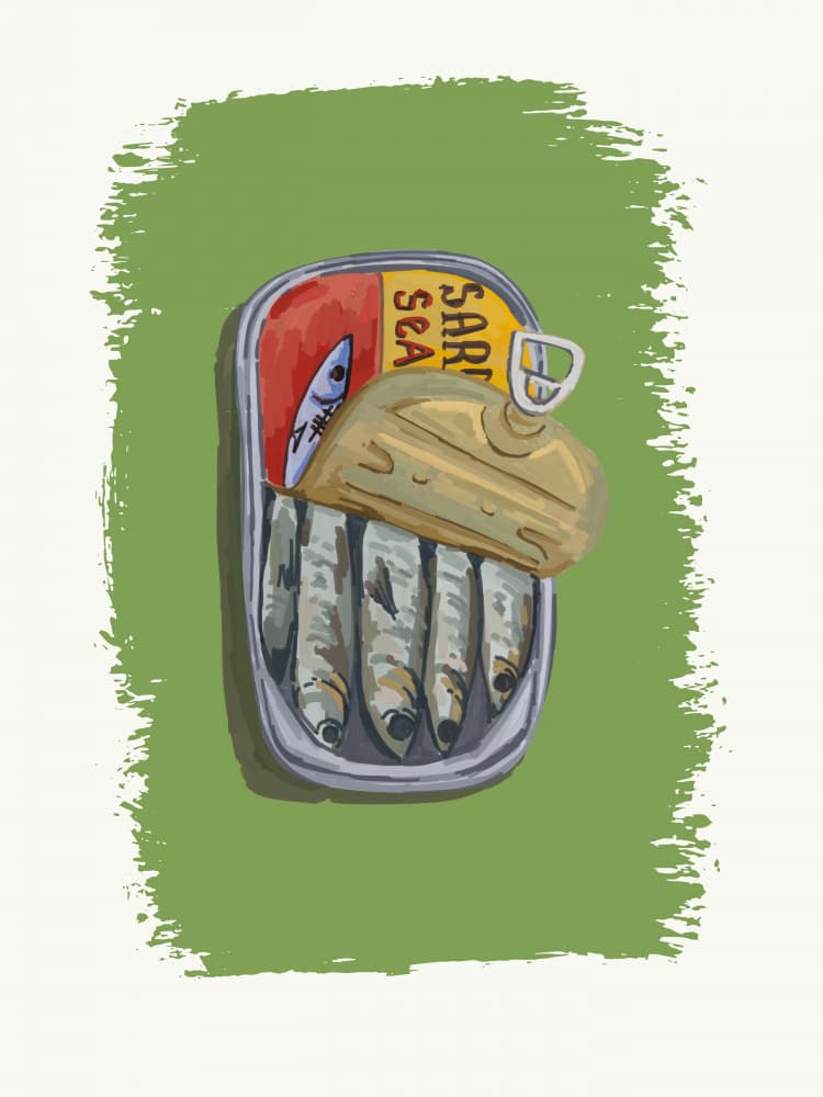 Rustic Sardine Can by Jolly and Dash — canvas wall art