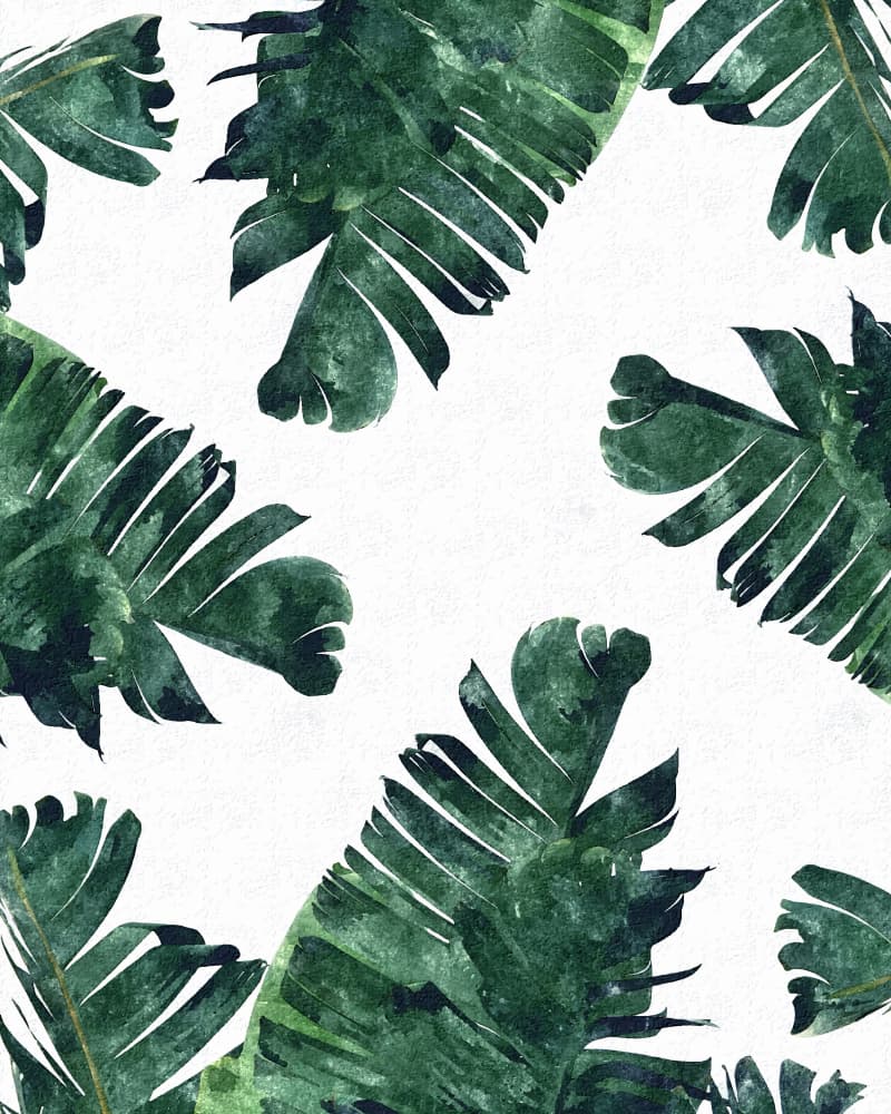 Watercolor Tropical Leaves by Uma Gokhale — canvas wall art