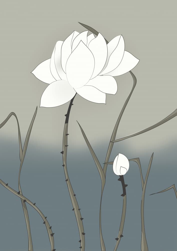 White Lotus Bloom by Nicholas — canvas wall art
