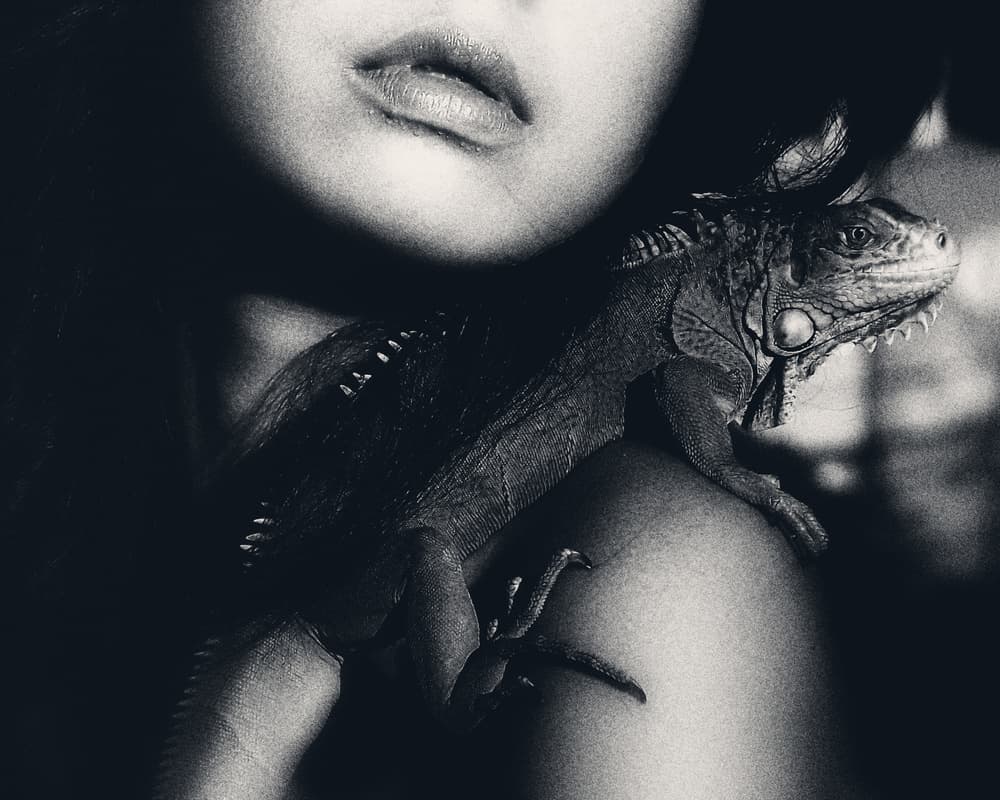 Mysterious Woman Iguana by Kahar Lagaa — canvas wall art