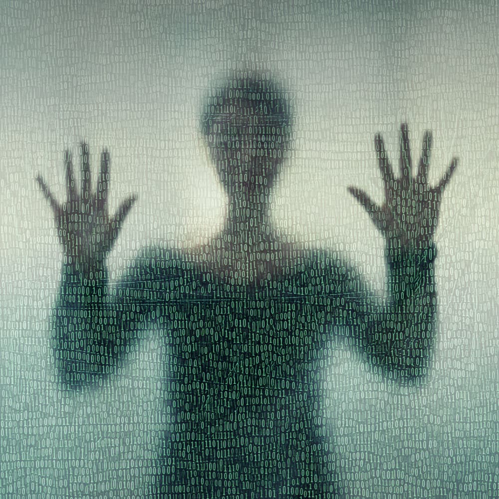 Digital Identity Silhouette by Roswitha Schleicher-Schwarz — canvas wall art