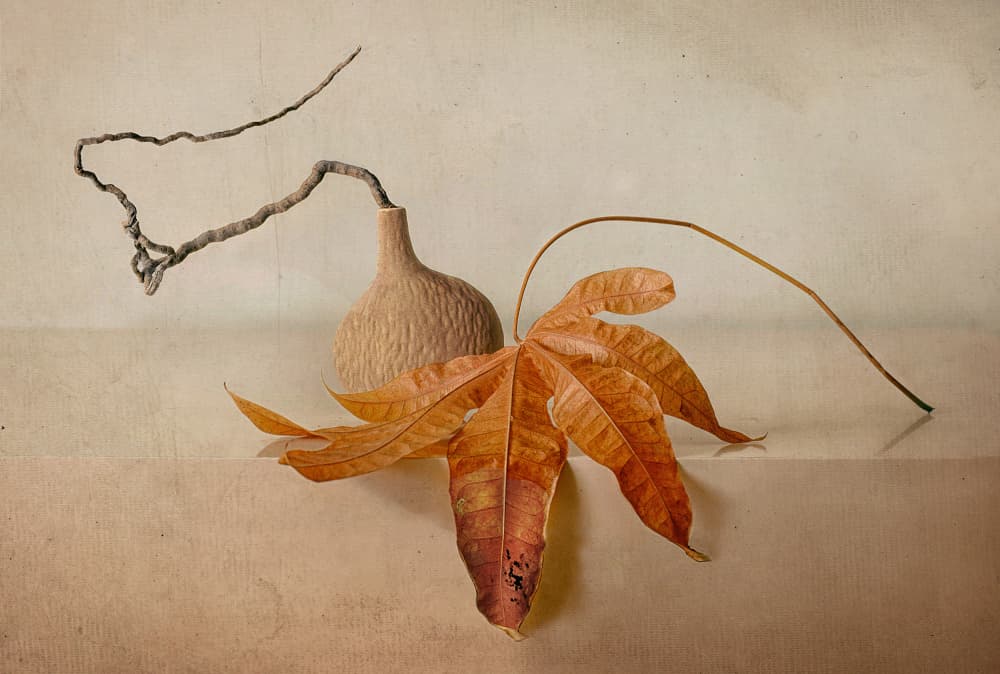 Natural Autumn Still Life by Elena Arjona — canvas wall art