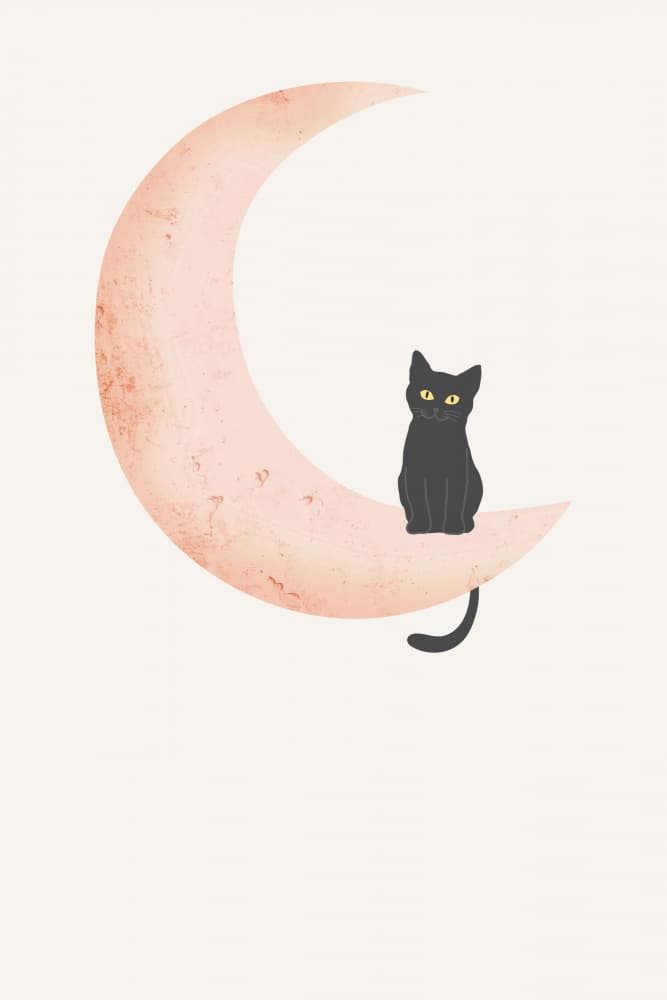 Cat Crescent Moon by Melloi Art Prints — canvas wall art