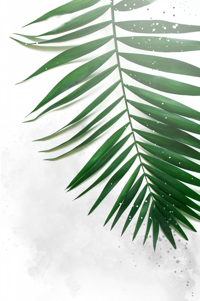 Fresh Palm Leaf by Rafal Kulik — canvas wall art