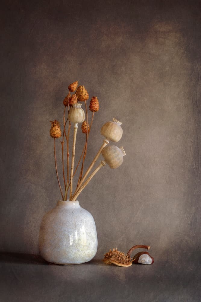Dried Poppy Still Life by Cicek Kiral — canvas wall art