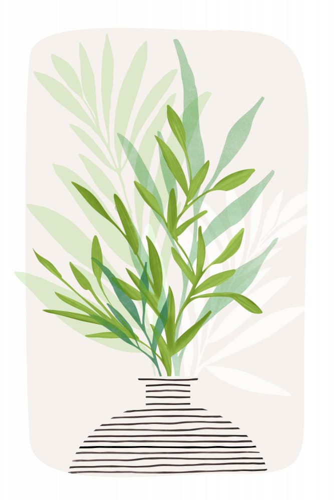 Olive Branches by Kristian Gallagher — canvas wall art