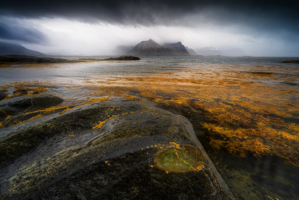 Misty Mountain Coast by Adam Pachula — canvas wall art